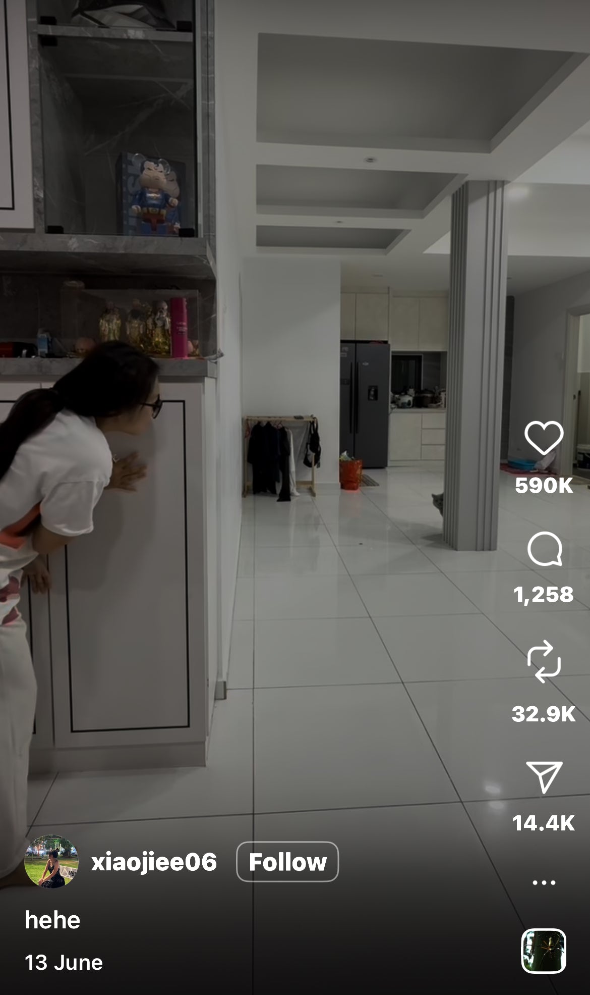 Cat and Owner Play an Intense Game of Hide and Seek