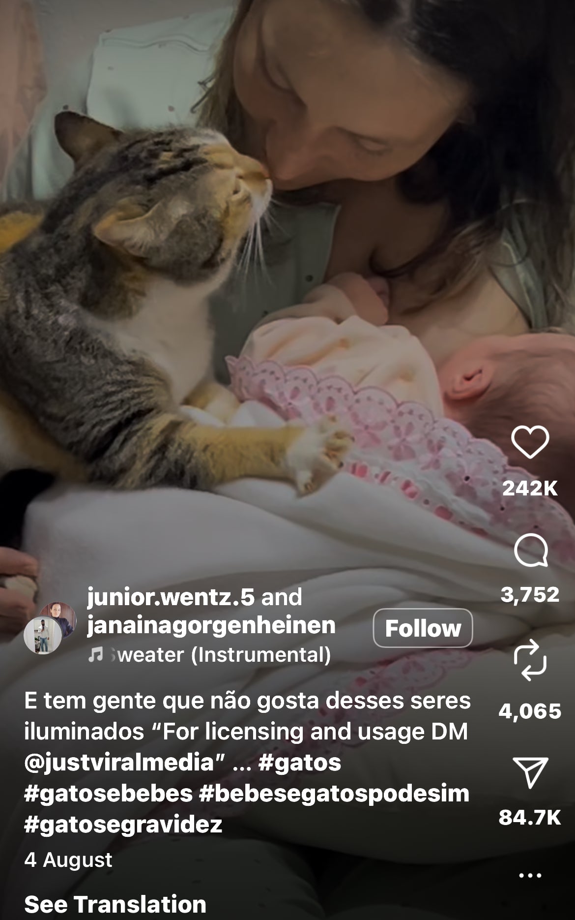 Cat Tenderly Watches Over Newborn During Breastfeeding