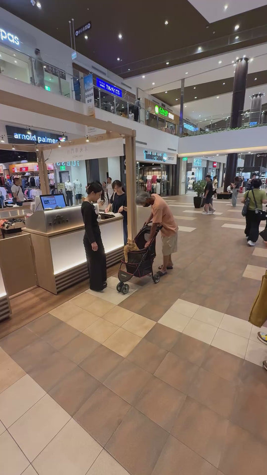 Cat Chilling in Stroller with his Girlfriend While Wearing Sunglasses