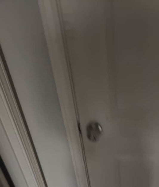 Cat Caught Red-Pawed Turning on the Car Lights