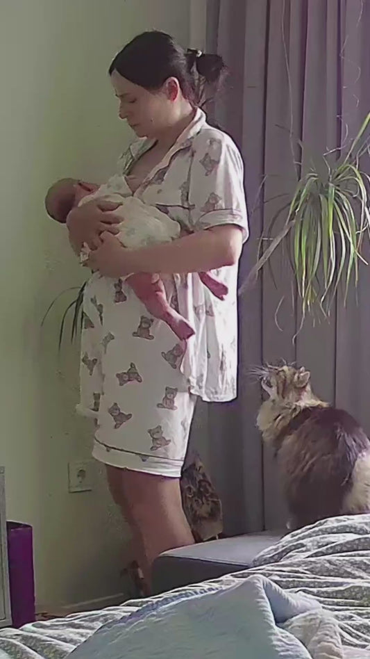 Cat Gets Jealous of Baby and Demands Mom’s Attention