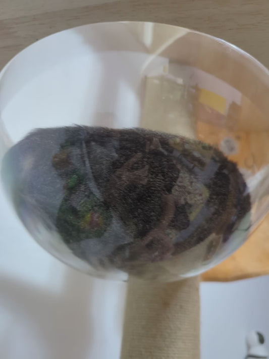 Cat Shocked After Owner Knocks on its Favourite Nap Spot