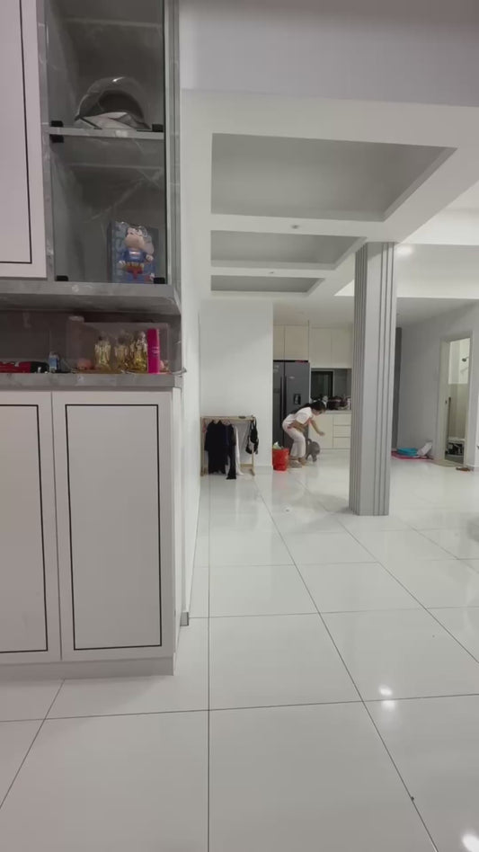 Cat and Owner Play an Intense Game of Hide and Seek