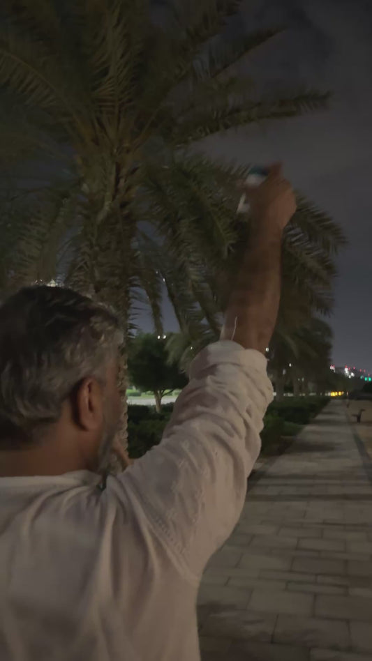 Dad Always Brings a Small Box of Treats for his Favourite Stray Cat