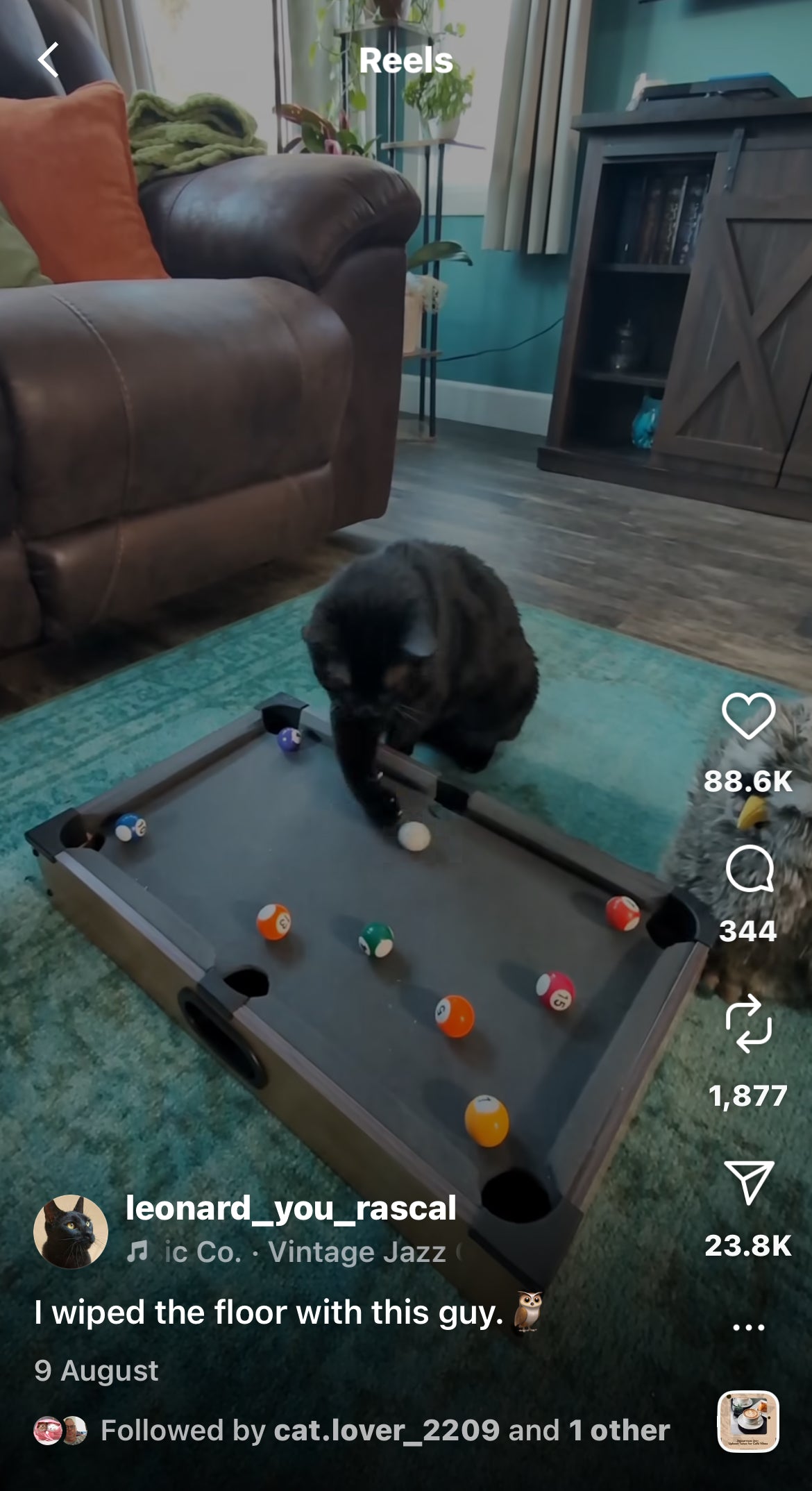 Cat Discovers Hidden Talent for Playing Pool
