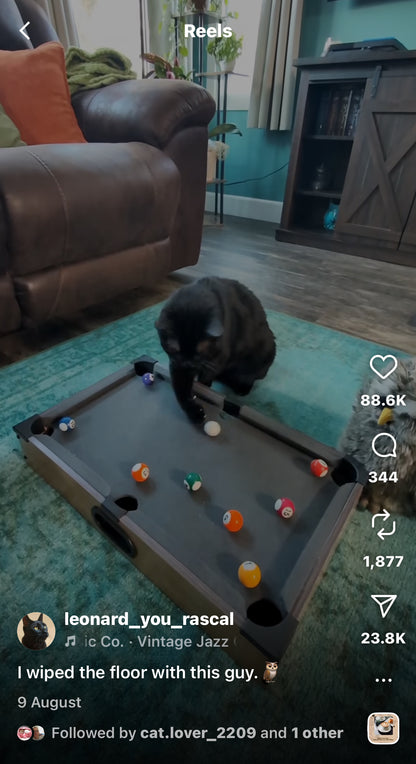 Cat Discovers Hidden Talent for Playing Pool
