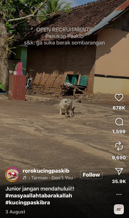 Cat Acts as Security Guard on Grandma's Farm