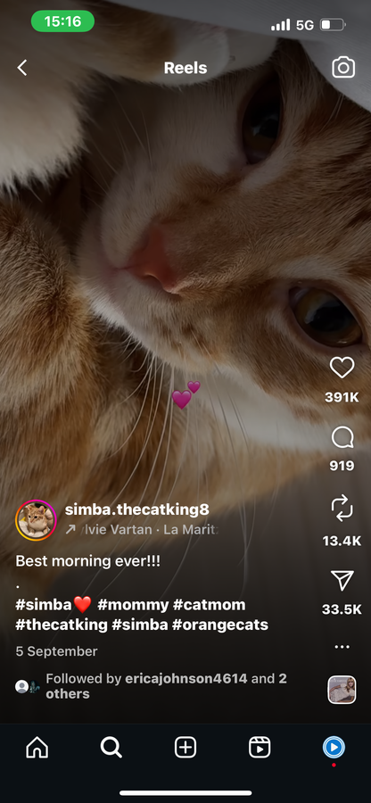 Girl Wakes up Everyday to Her Favourite View - Her Cat