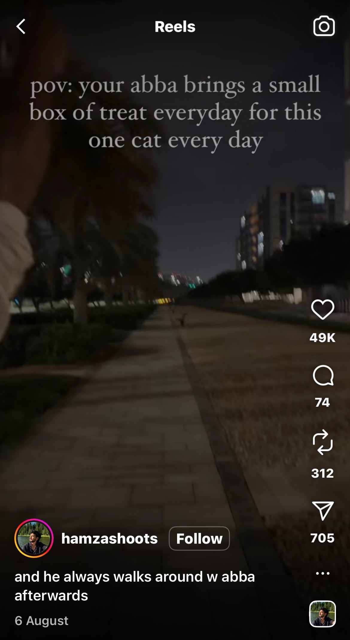 Dad Always Brings a Small Box of Treats for his Favourite Stray Cat