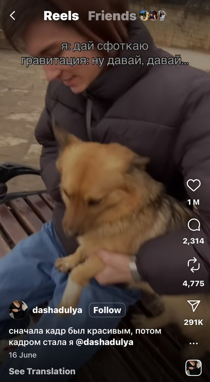 Camerawoman Falls Off a Ledge While Filming a Dog