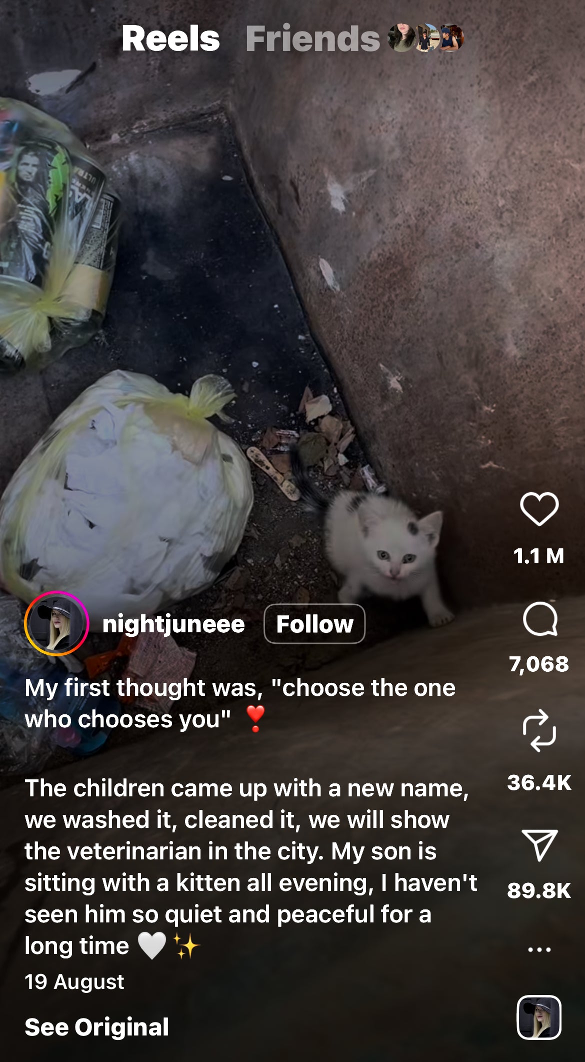 Woman Rescues a Cat From a Dumpster