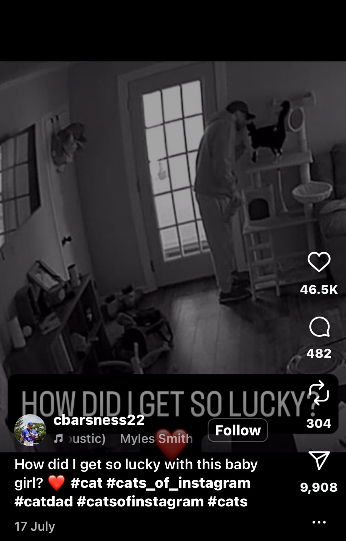 Cat Says Goodbye to Owner Every Morning with a Kiss