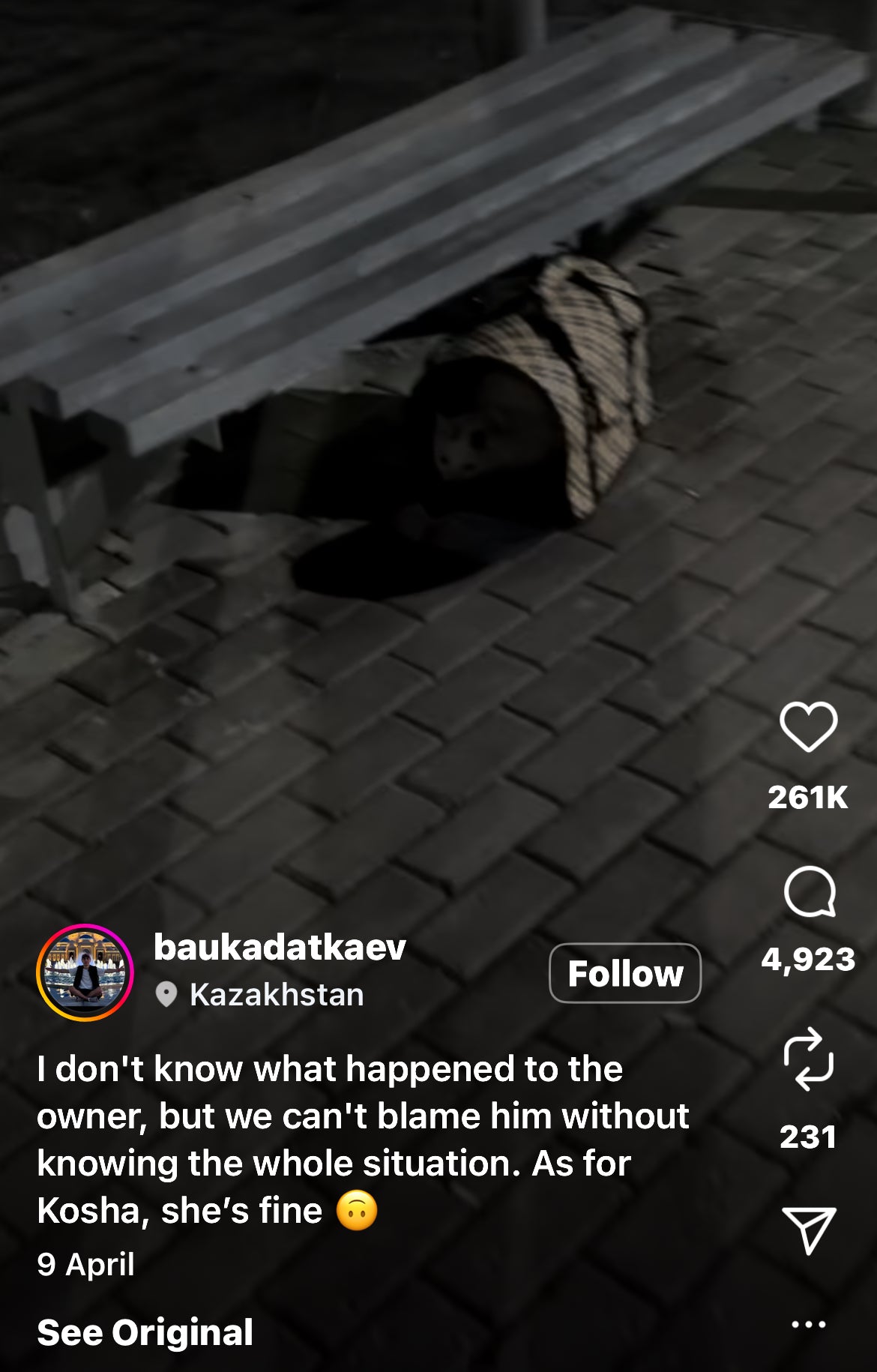 Man Finds and Rescues an Abandoned Kitten at a Bus Stop