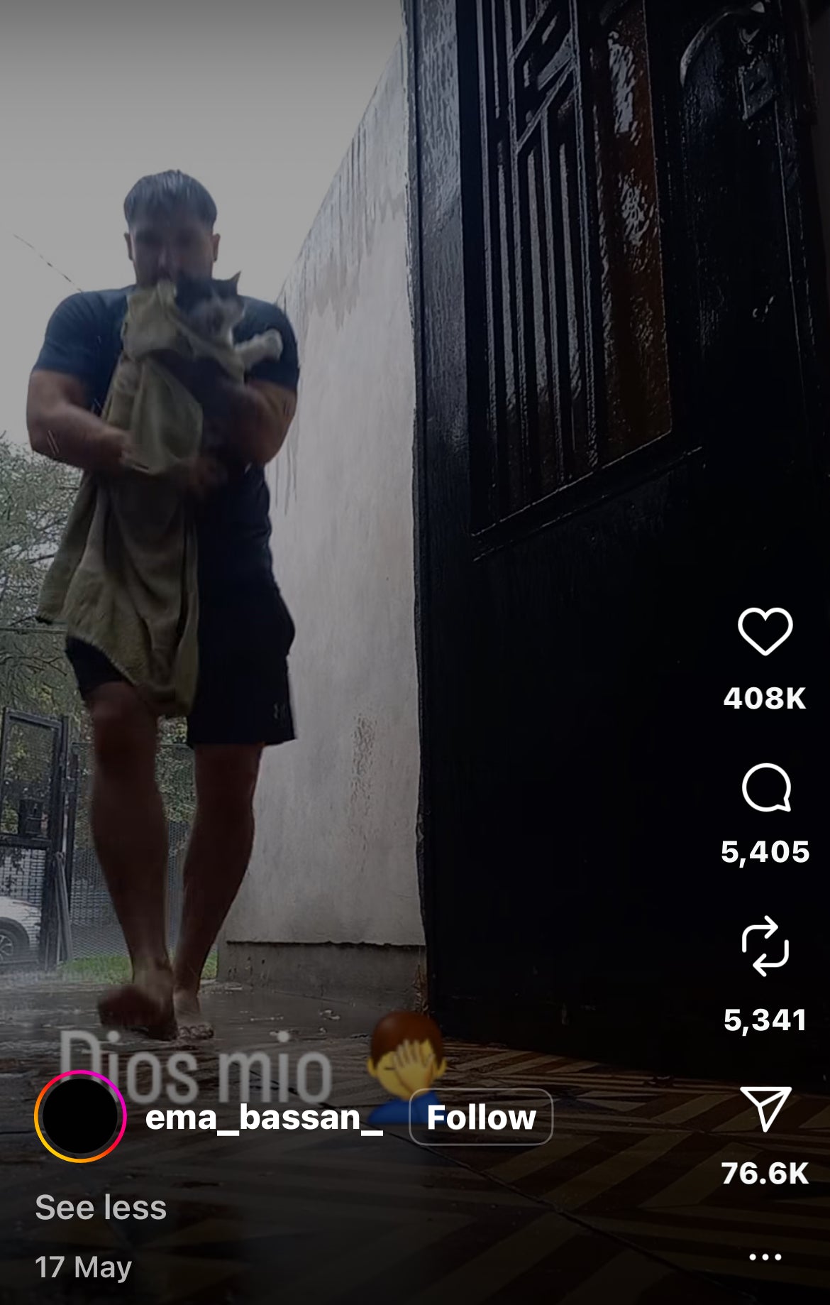 Cat Yells at Owner After Being Brought Inside from the Rain