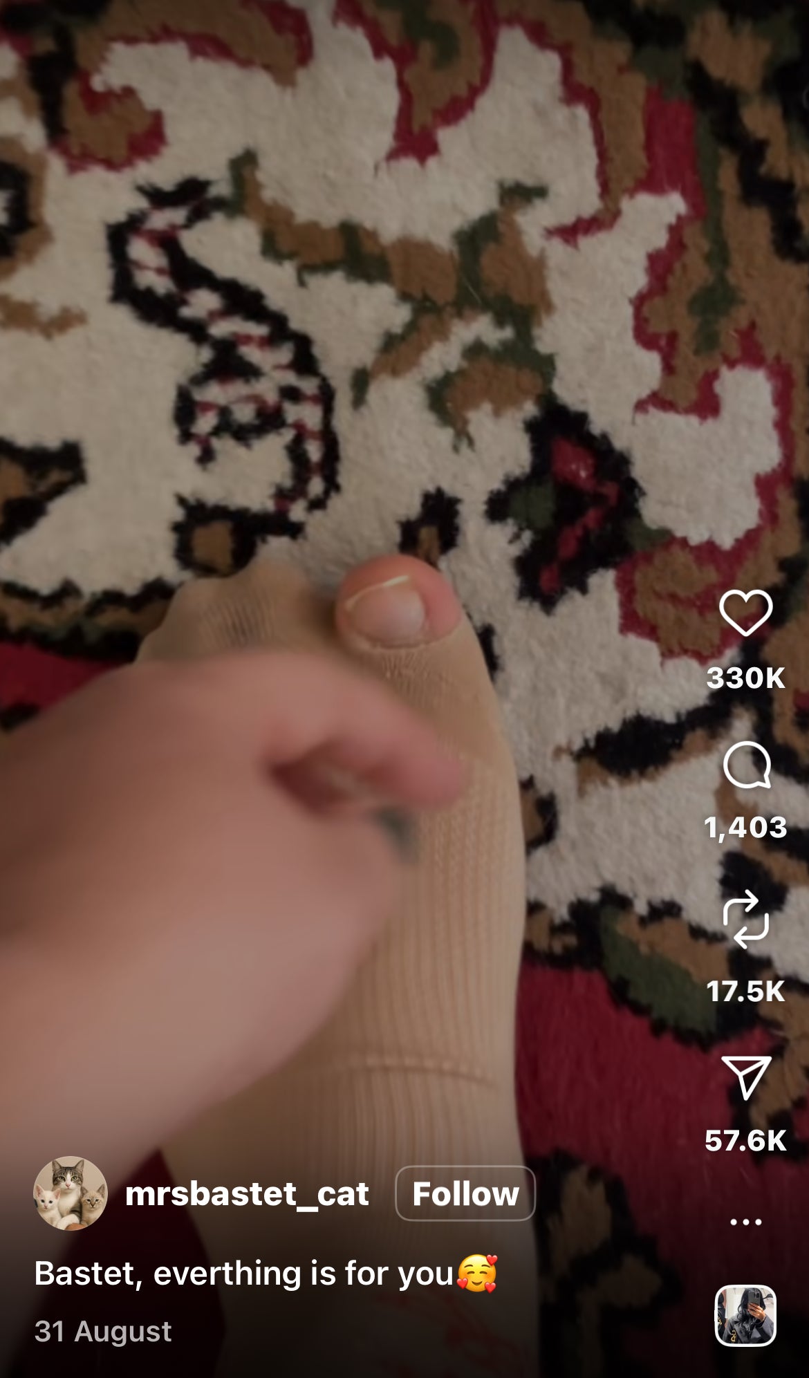 Owner Goes Without to Spoil Their Cat