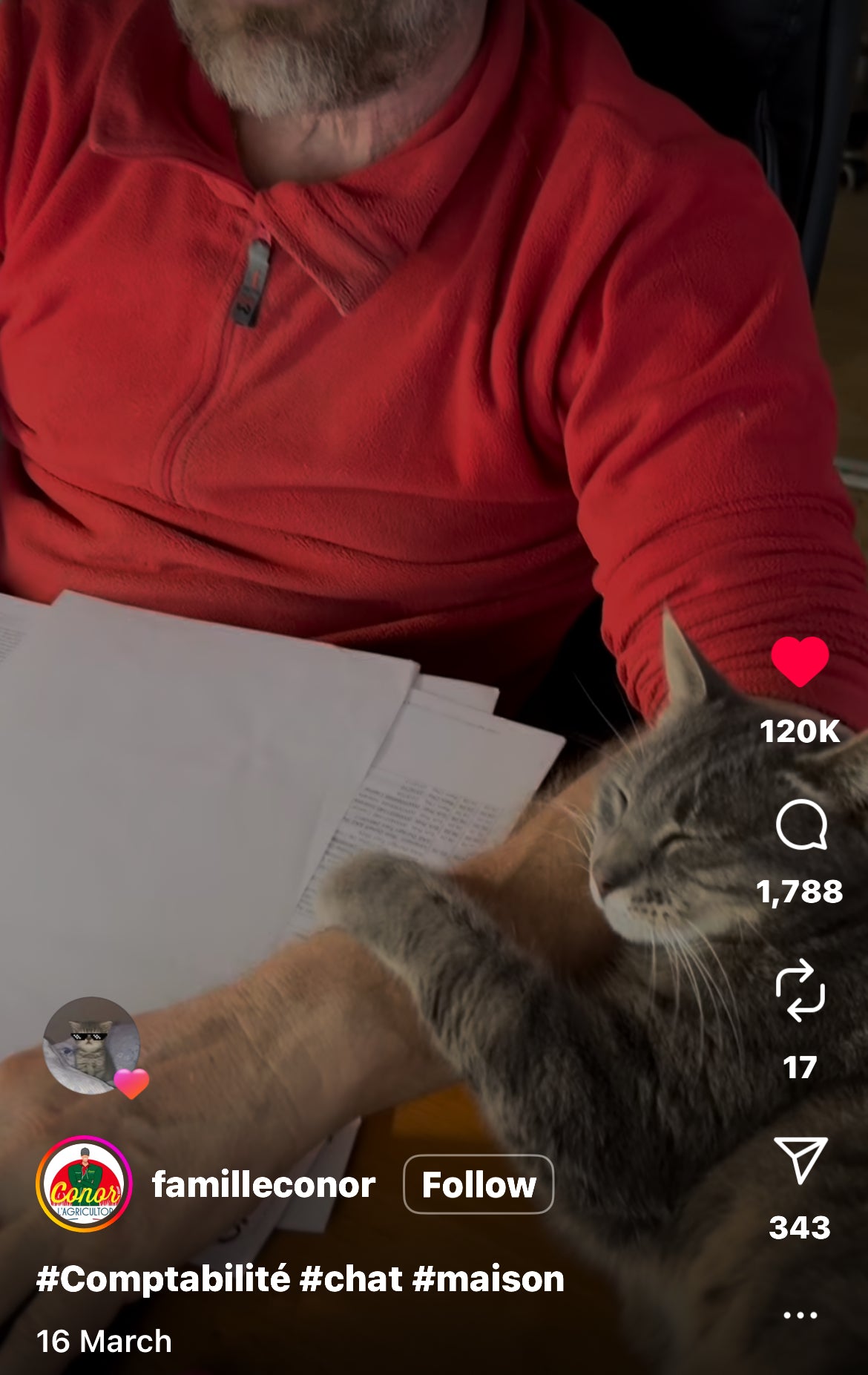 Cat Refuses to Leave Owner's Side While He's Working