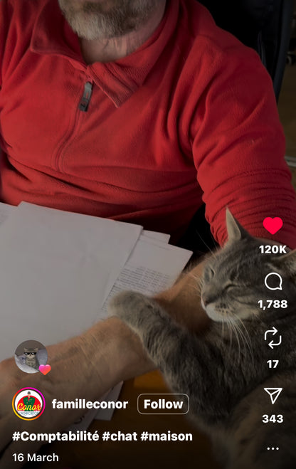 Cat Refuses to Leave Owner's Side While He's Working