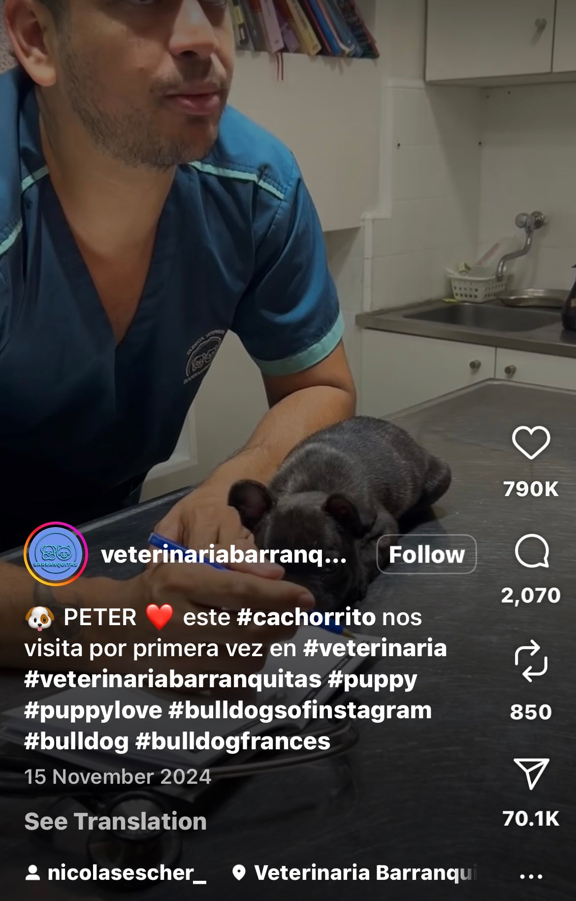 Puppy Snuggles up to Vet After an Appointment