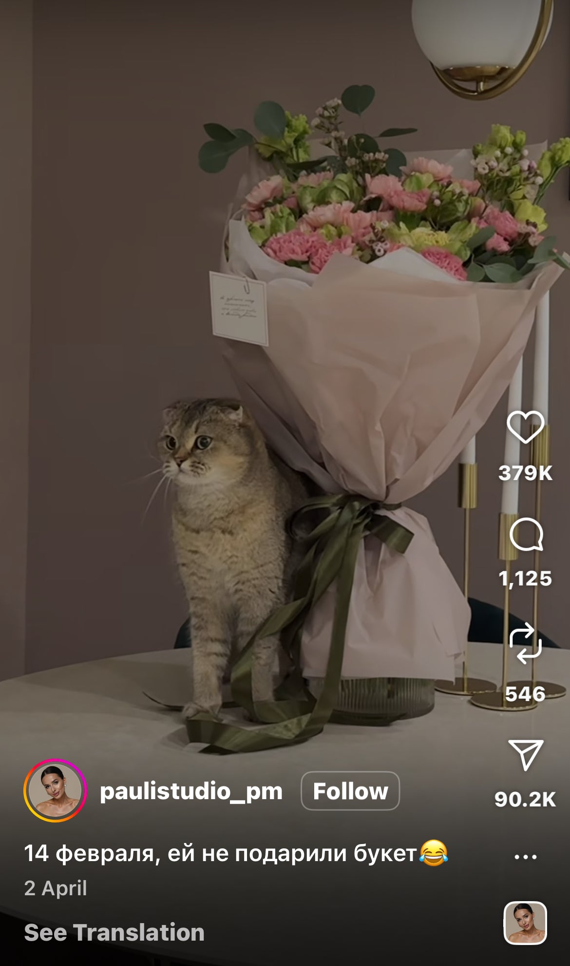 Cat Thinks Valentines Flowers are for Her