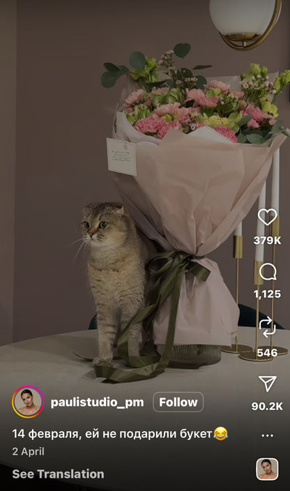 Cat Thinks Valentines Flowers are for Her