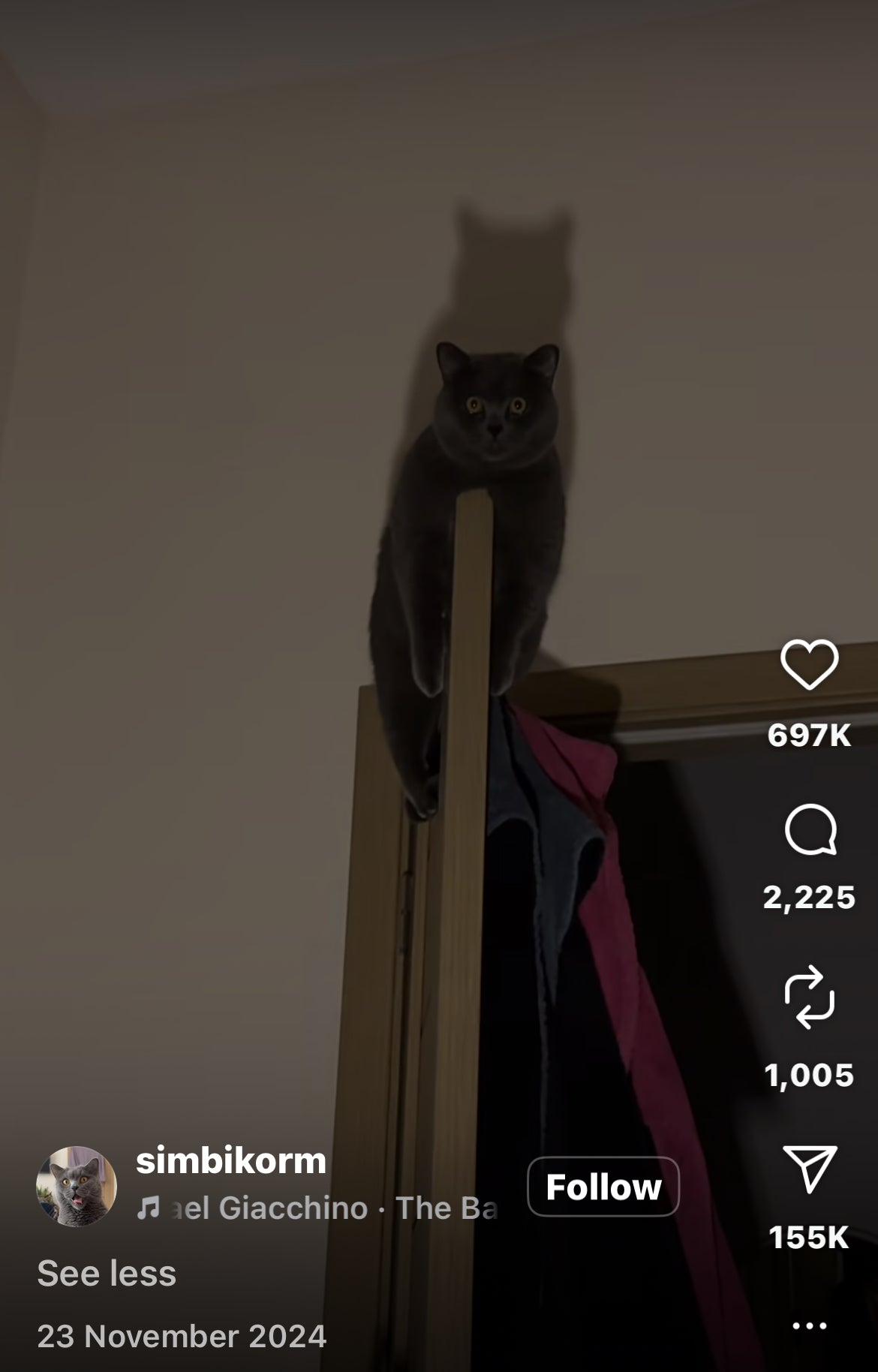 Cat Sits Eerily on top of Door