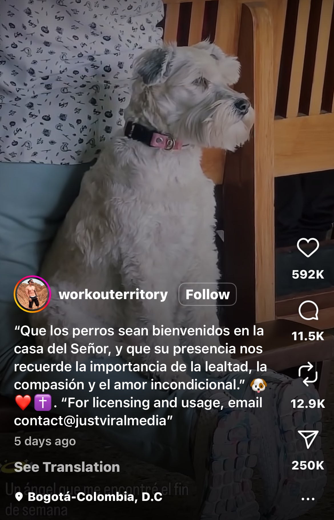 Dog Humorously Joins in During Church Prayer