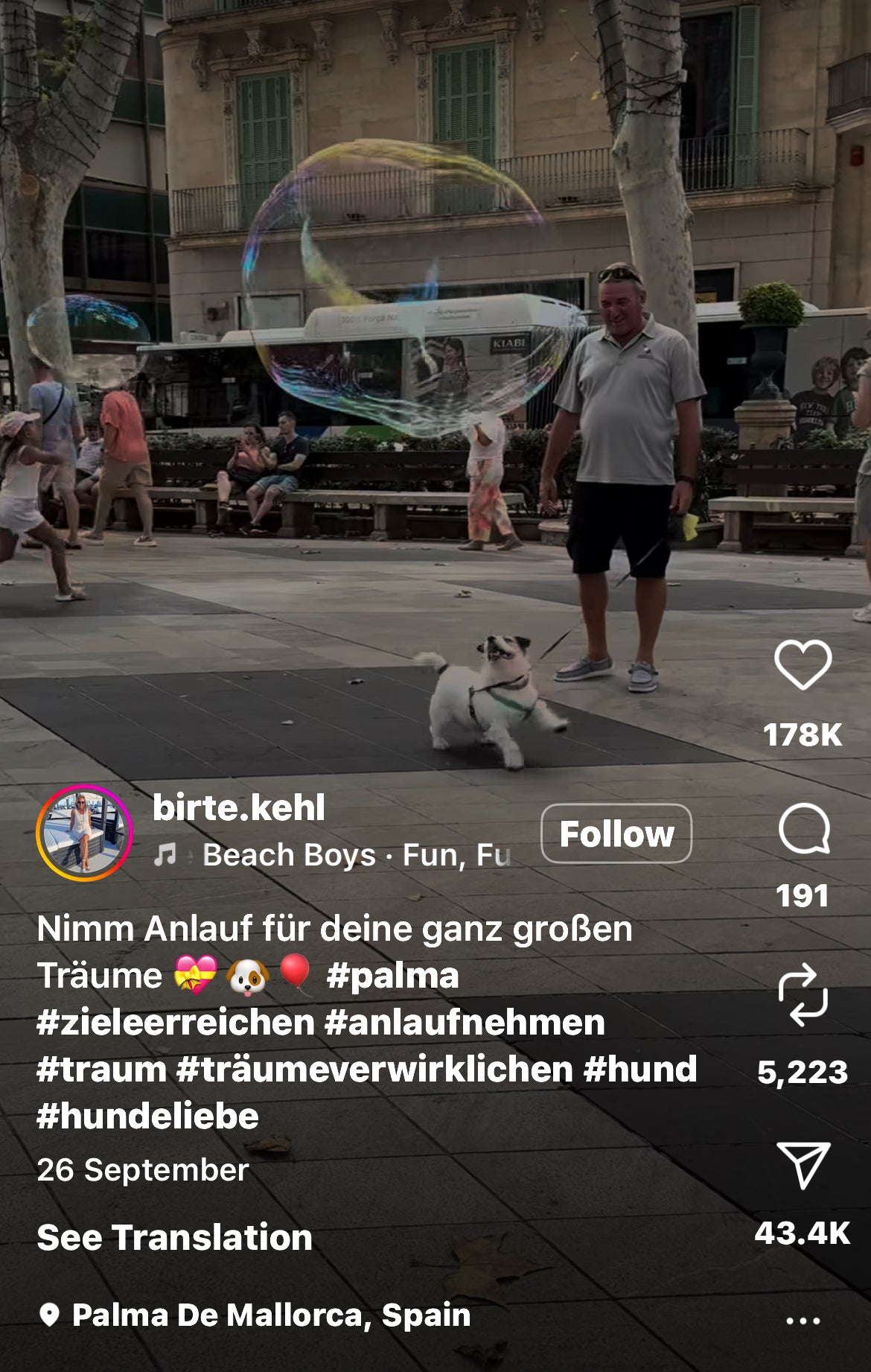 Dog Plays with Bubbles in the Street