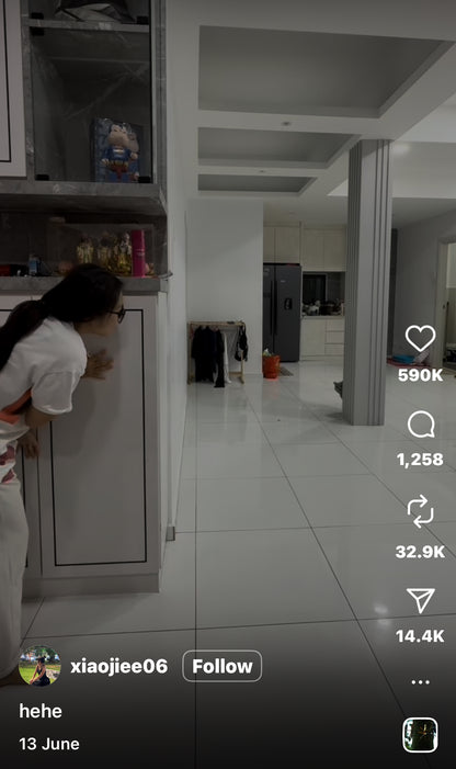 Cat and Owner Play an Intense Game of Hide and Seek