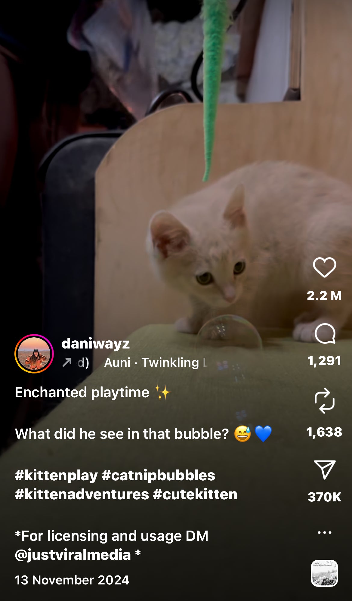 Curious Kitten Plays with Bubbles