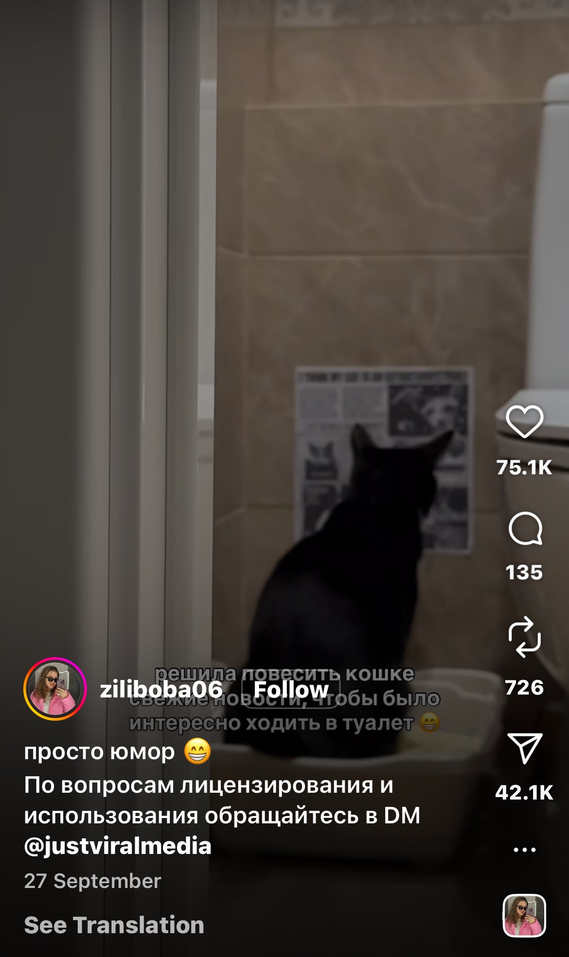 Cat Reads Newspaper While Using the Toilet
