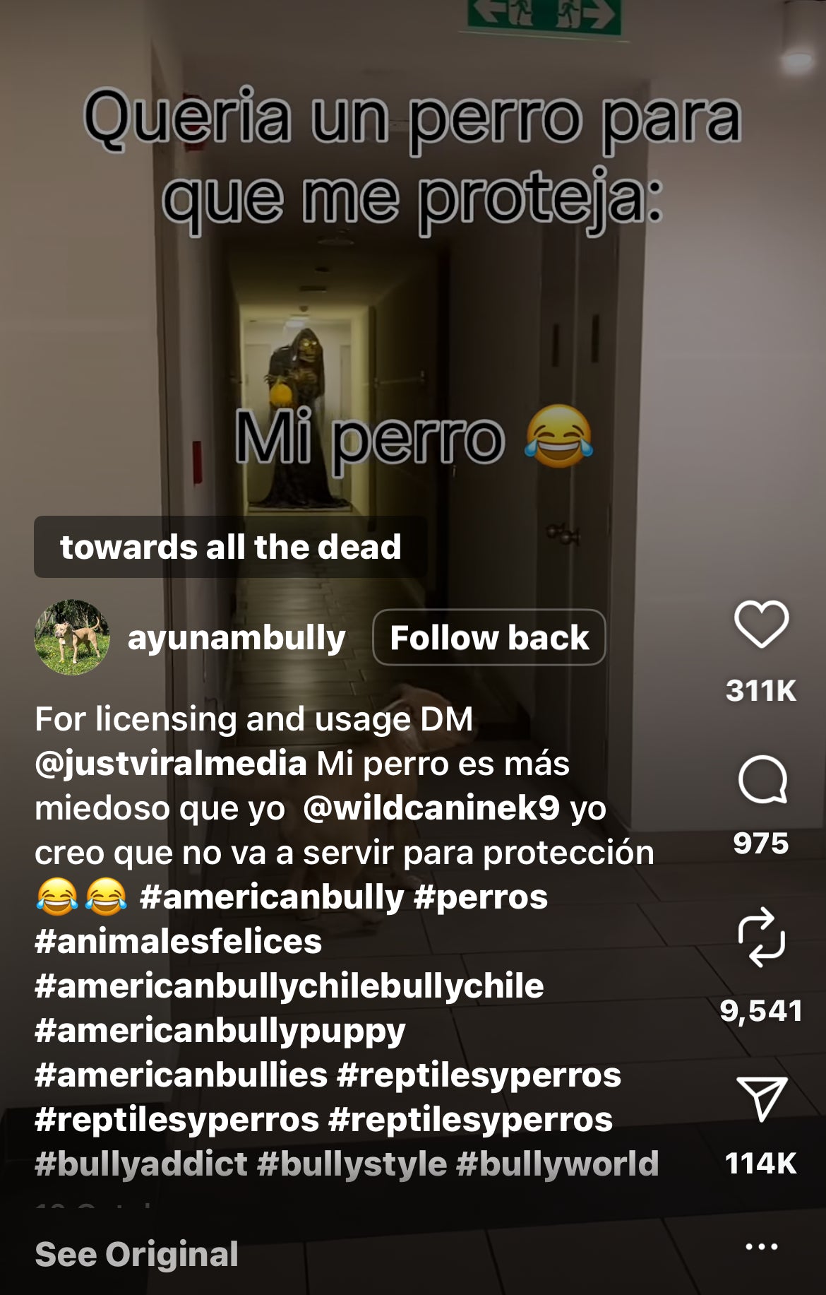 Dog Runs Away After Seeing Scary Halloween Costume