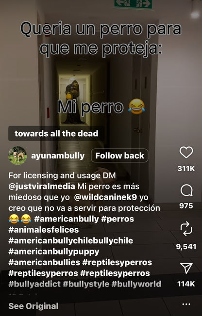 Dog Runs Away After Seeing Scary Halloween Costume