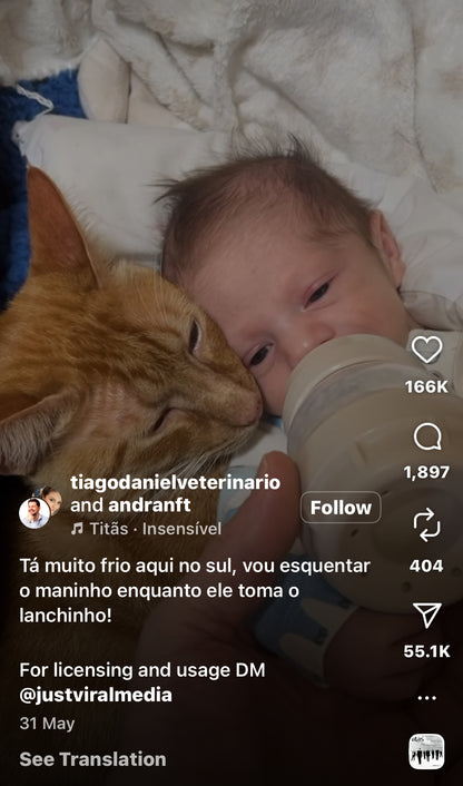 Cat Snuggles Up Beside Baby During Feeding Time