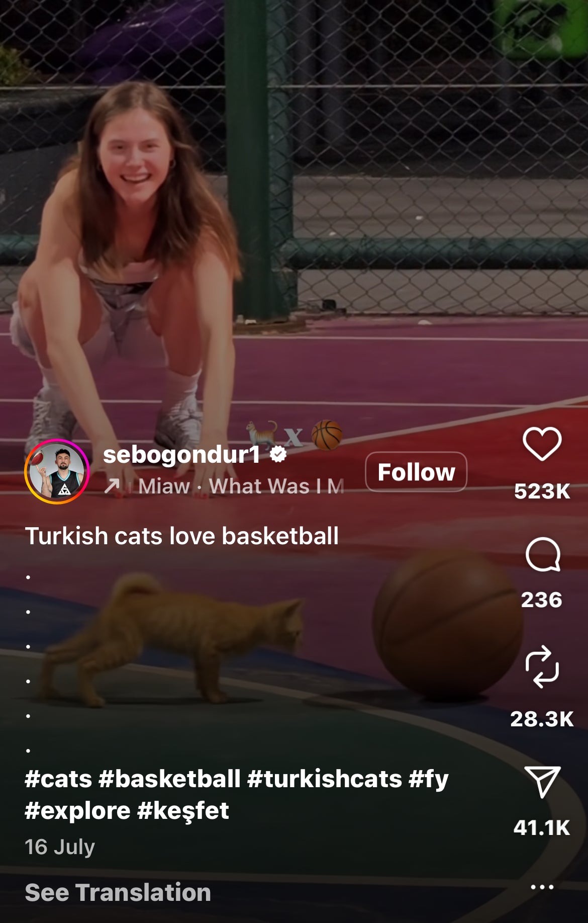 Adorable Kitten Joins in on the Basketball Court