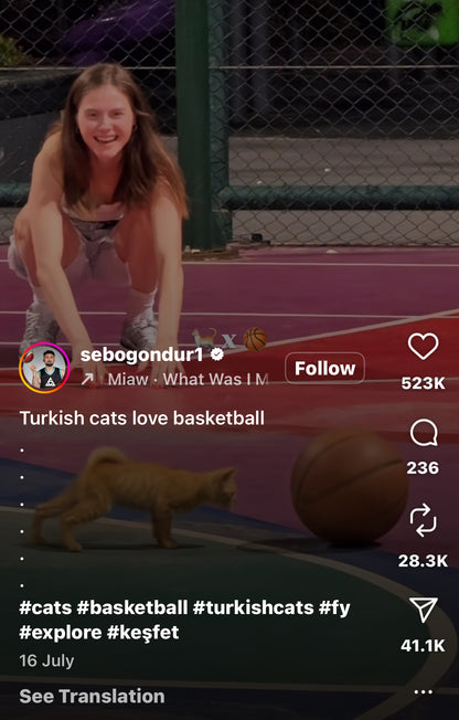 Adorable Kitten Joins in on the Basketball Court