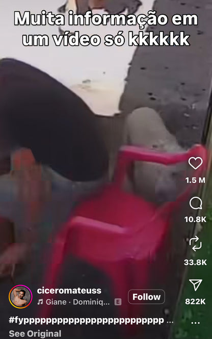 Dog Pulls Off Perfect Prank on Market Shopper