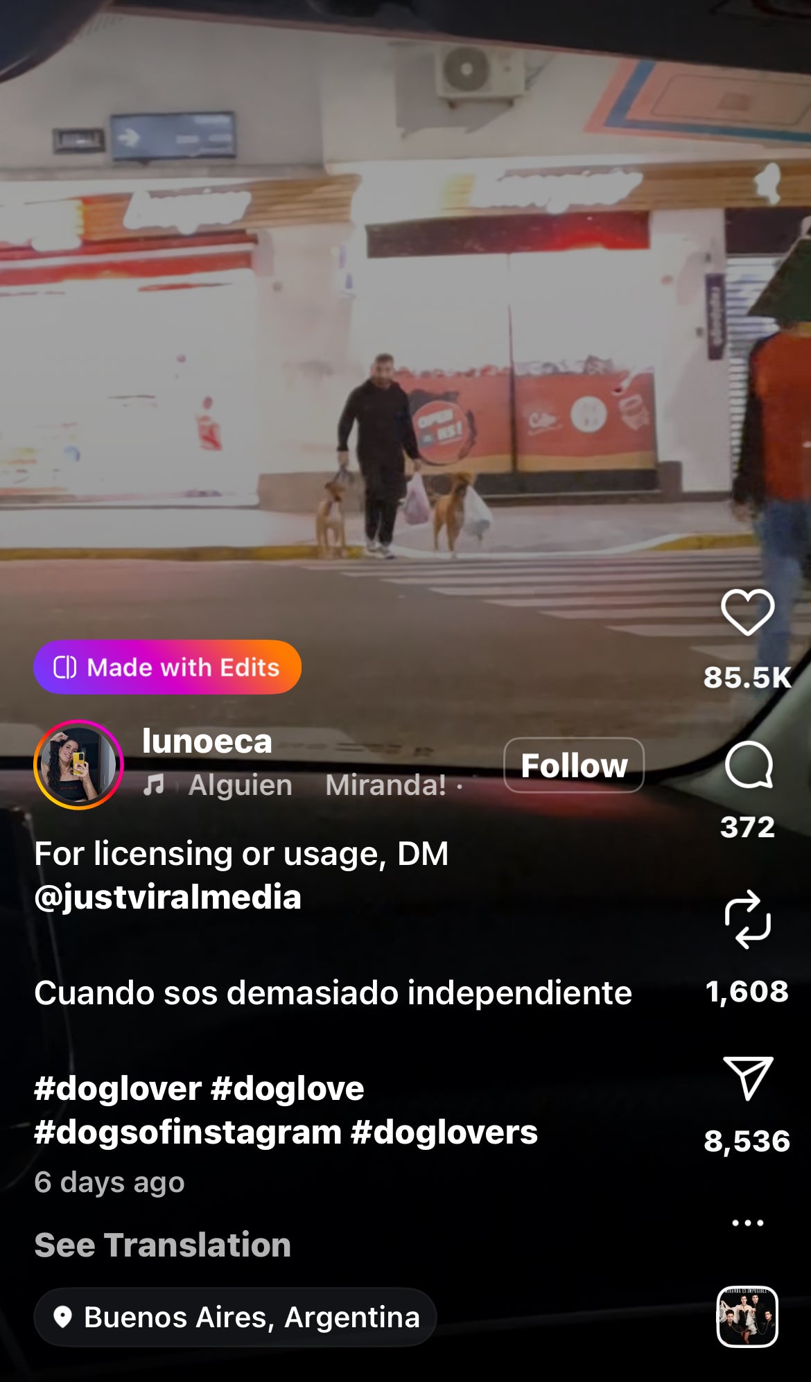 Dog Helps Owner Carry Groceries Home