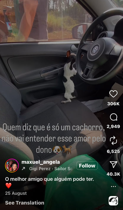 Puppy Can’t Contain His Joy When Owner Returns