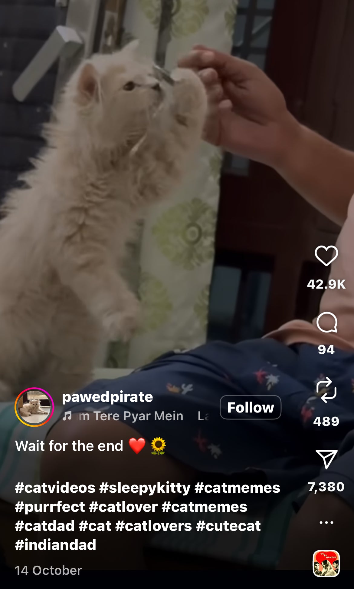 Dad Blows on Hot Soup Before Sharing with His Cat