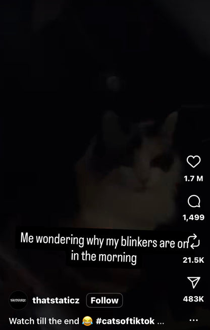 Cat Caught Red-Pawed Turning on the Car Lights