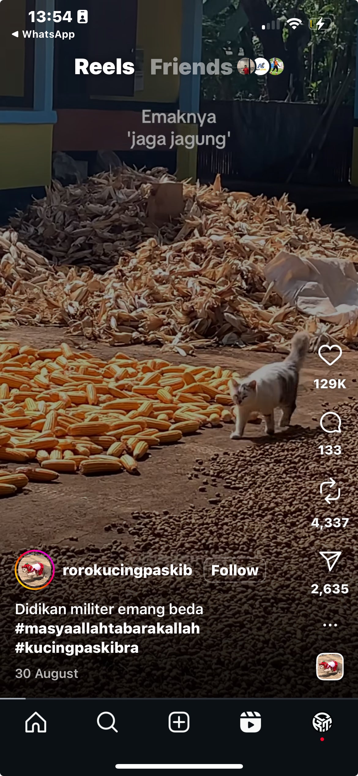 Cat Acts as Security Guard on Grandma's Farm