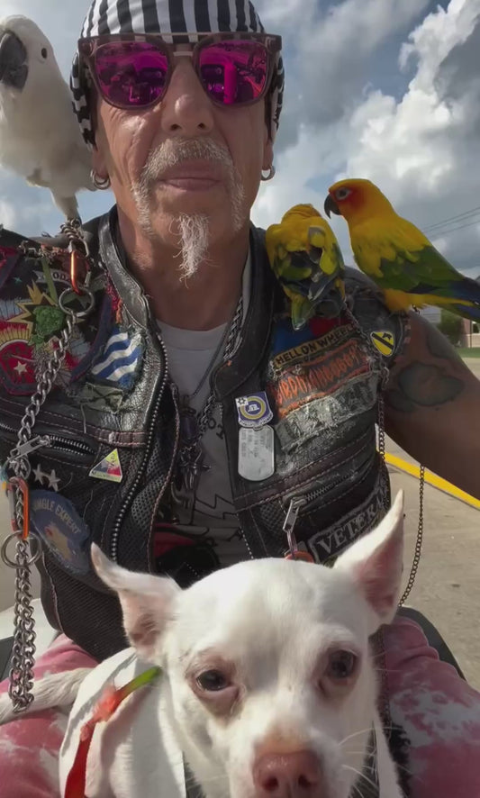 Biker Takes His Pets Along for an Unforgettable Ride