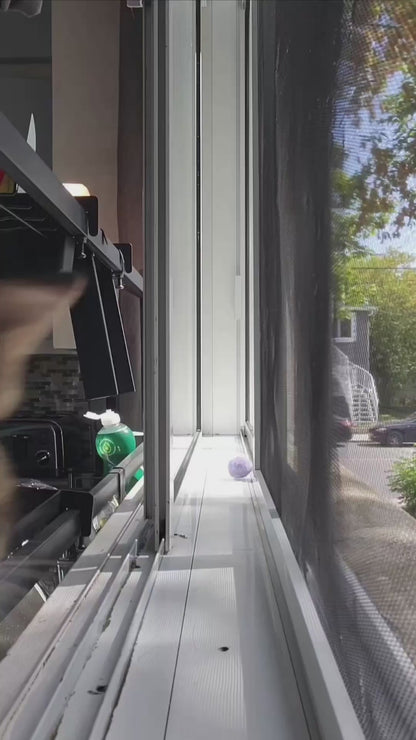 Cat Pulls Off Perfect Flip in a Tight Window Gap