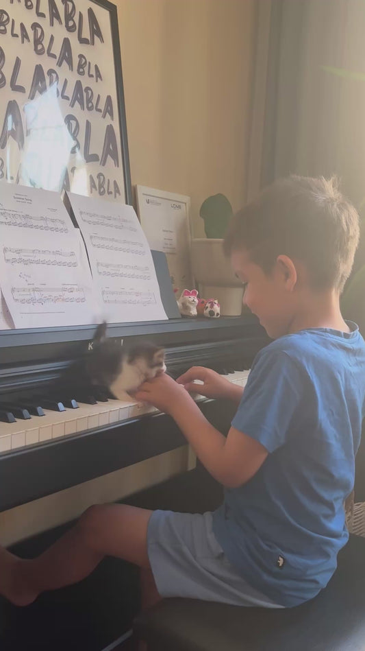 Little Boy Plays Piano as Kitten 'Helps Out'