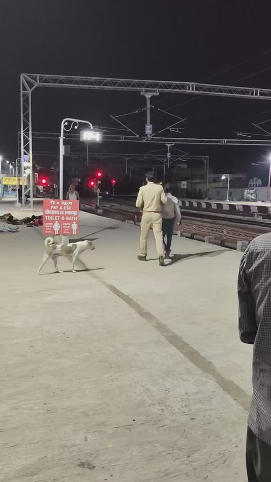 Dog Suddenly Bites Man’s Backside at Train Platform