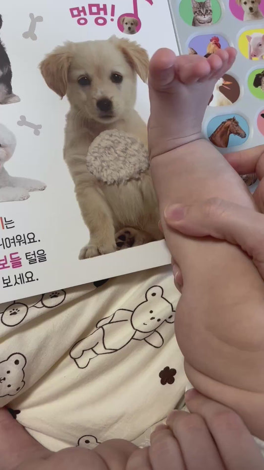 Cat Joins Owner and Baby for Reading Time
