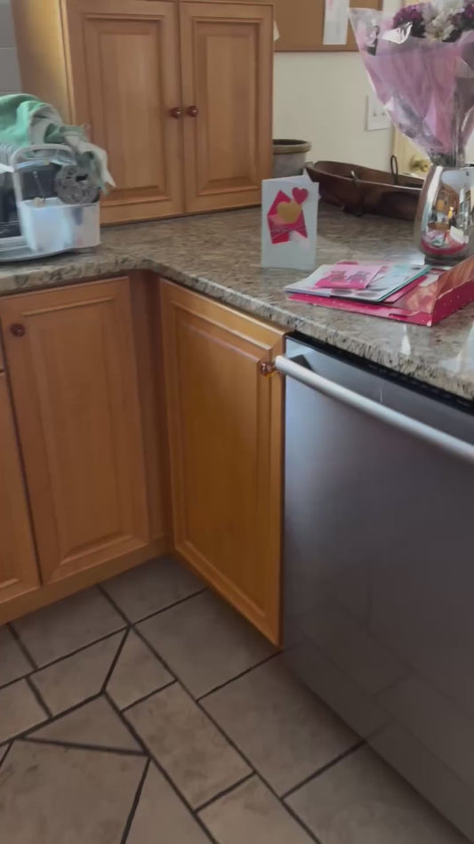 Cat's Hilarious Reaction to Pop-Up Cat (2)