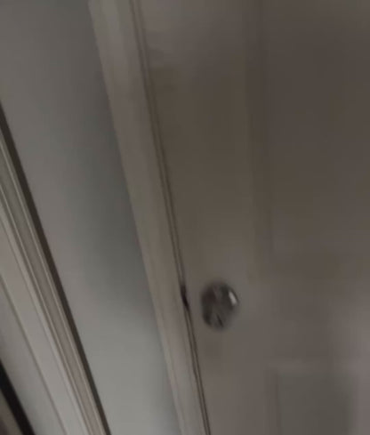 Cat Caught Red-Pawed Turning on the Car Lights