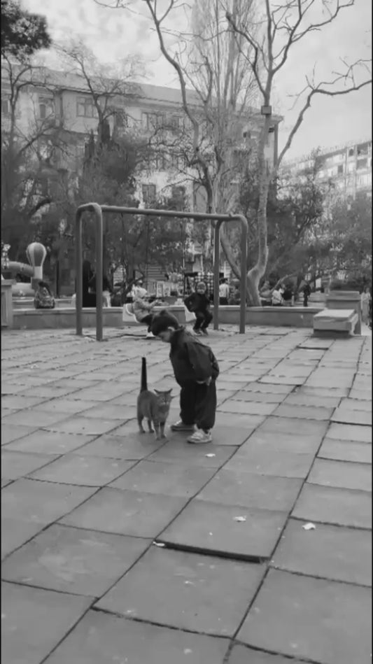 Black-and-White Video of Boy and Cat in Park