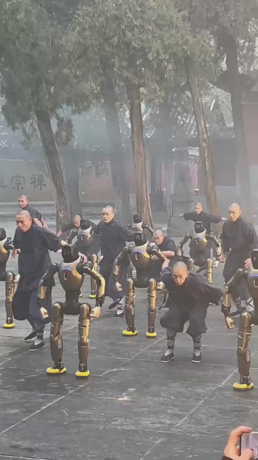 Monks Demonstrate Martial Arts Skills Alongside Robots